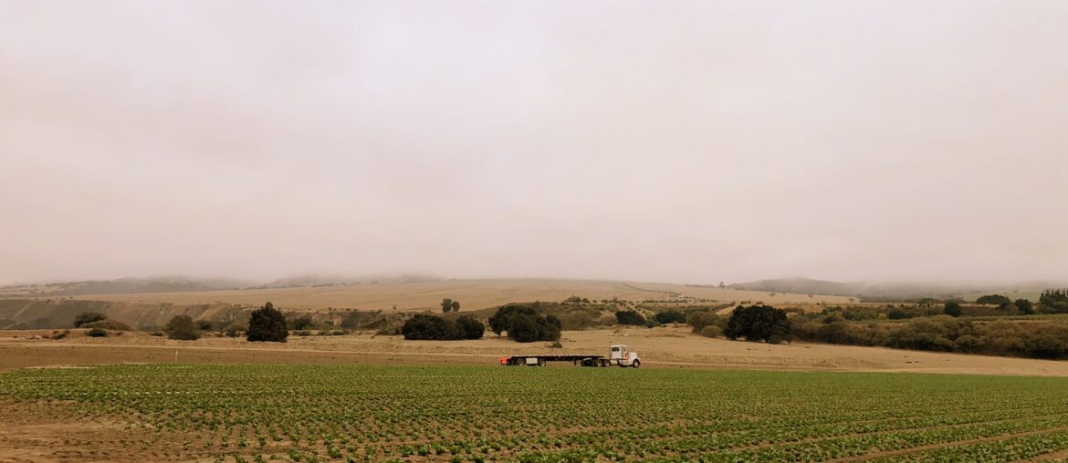 Smoke over farm field