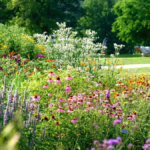 Spring Garden Reset: How to Prep Your Yard for a Blooming Season