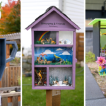 Little Free Libraries Inspire a Network of “Sidewalk Joys” to Connect Neighbors Together