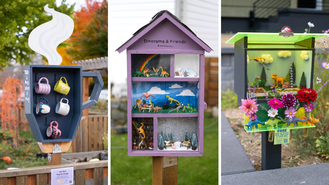 Little Free Libraries Inspire a Network of “Sidewalk Joys” to Connect Neighbors Together